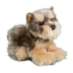 Best Yettie Yorkie Dogs