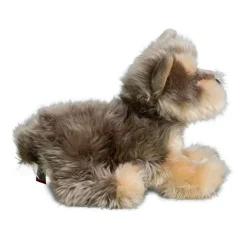 Best Yettie Yorkie Dogs