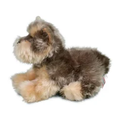 Best Yettie Yorkie Dogs
