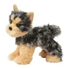 Best Yonkers Yorkie Dogs