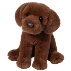 Sale Zoom Chocolate Lab Dogs